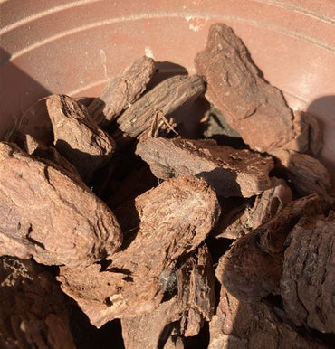 Piniendekorrinde 16-25mm