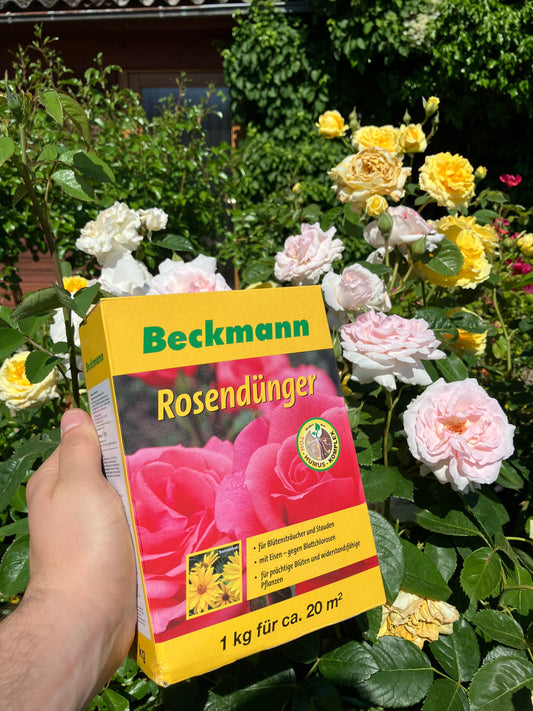 Jahreszeiten-Kalender für die Gartenpflege