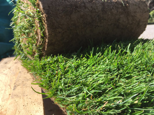 Rollasen und Zubehör