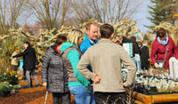Besuch in der Baumschule - Termin buchen | Pflanzenauswahl & Beratung