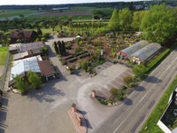 Besuch in der Baumschule - Termin buchen | Pflanzenauswahl & Beratung