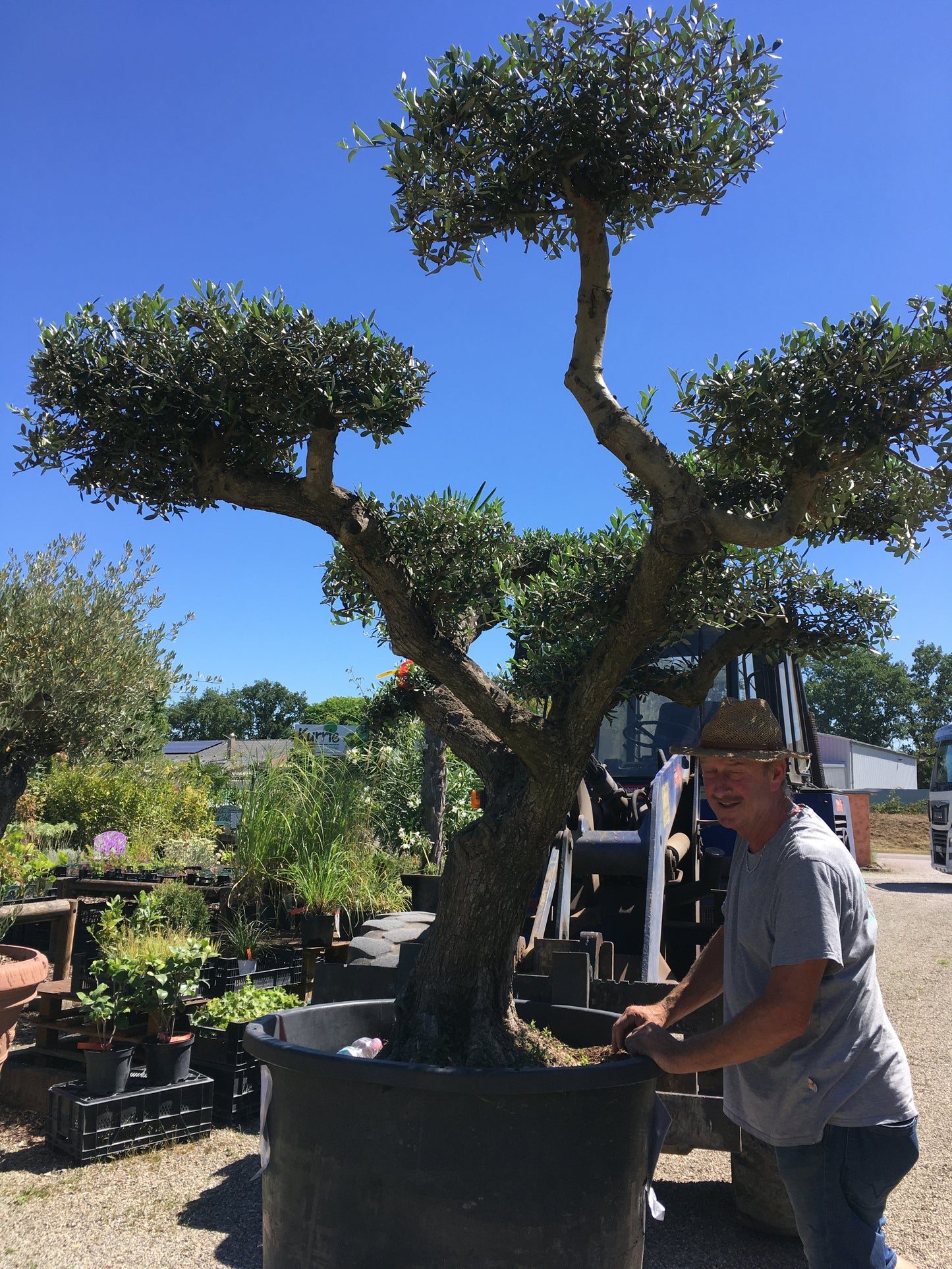 Besuch in der Baumschule - Termin buchen | Pflanzenauswahl & Beratung