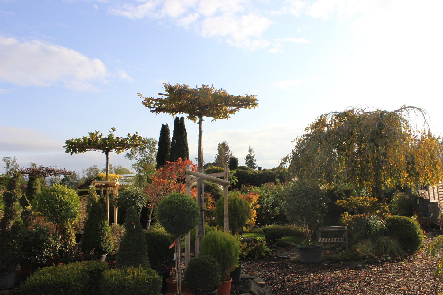Besuch in der Baumschule - Termin buchen | Pflanzenauswahl & Beratung