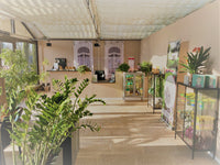 Besuch in der Baumschule - Termin buchen | Pflanzenauswahl & Beratung