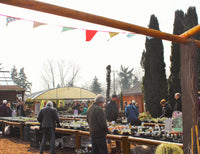 Besuch in der Baumschule - Termin buchen | Pflanzenauswahl & Beratung